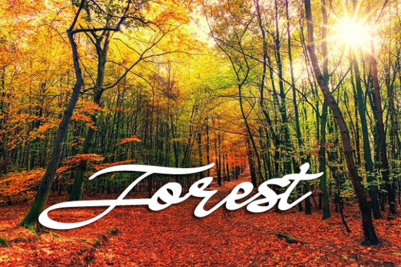 Autumn Font Poster 4