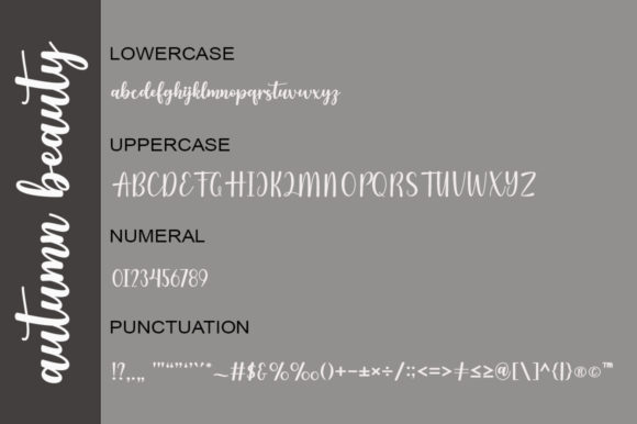 Autumn Beauty Font Poster 6
