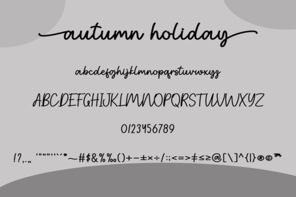 Autumn Holiday Font Poster 7