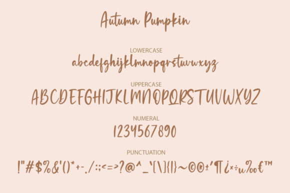 Autumn Pumpkin Font Poster 9