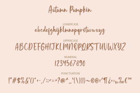 Autumn Pumpkin Font Poster 9