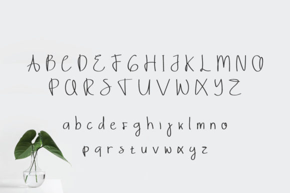Ayya Font Poster 2