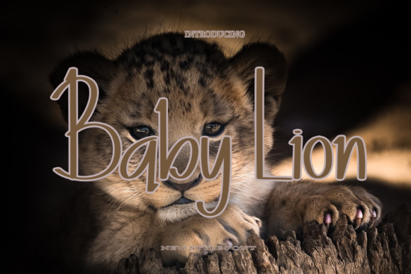 Baby Lion Font Poster 1