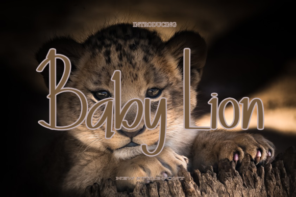 Baby Lion Font