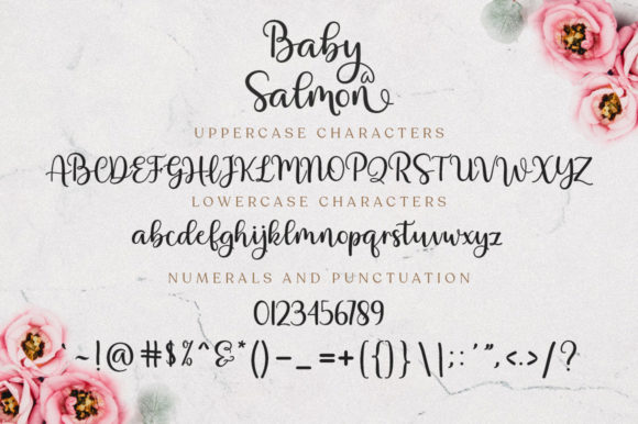 Baby Salmon Script Font Poster 7