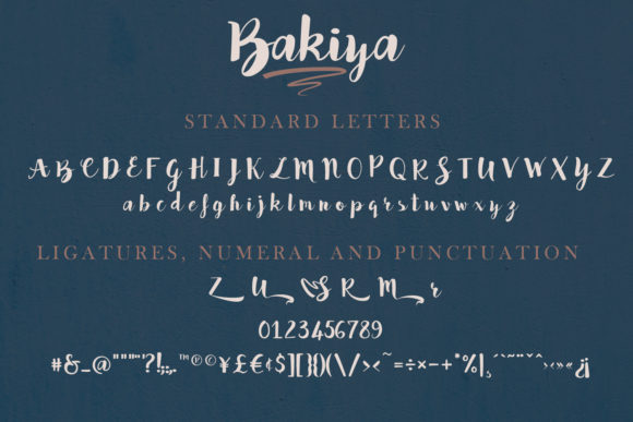 Bakiya Font Poster 2
