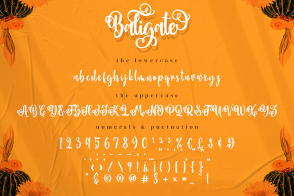 Baligate Font Poster 8