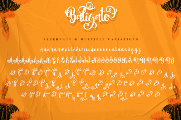 Baligate Font Poster 9
