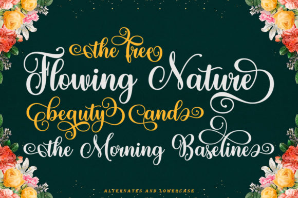 Baligline Beauty Font Poster 7