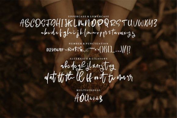 Balley Font Poster 6