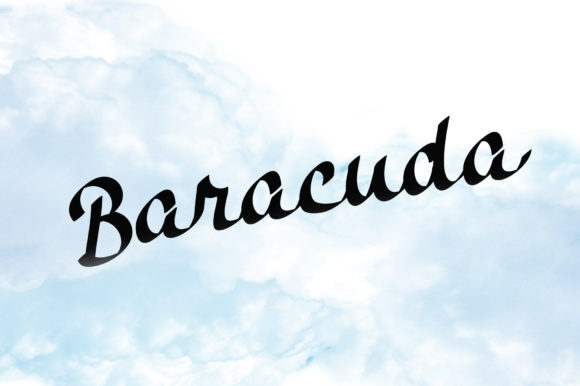 Baracuda Font Poster 1