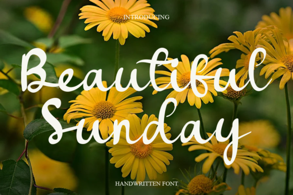 Beautiful Sunday Font Poster 1