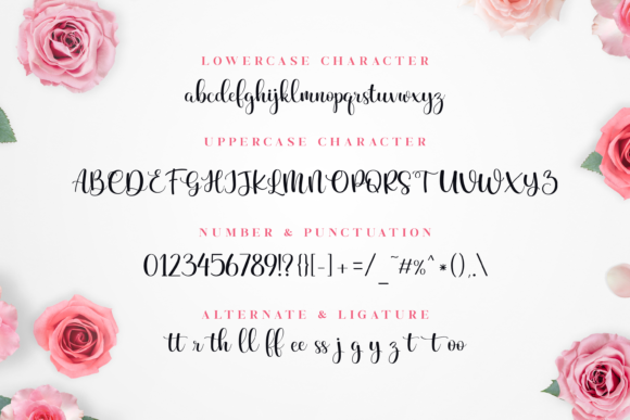 Beauty and Elegant Font Poster 4