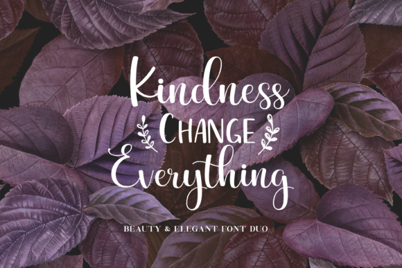 Beauty and Elegant Font Poster 8