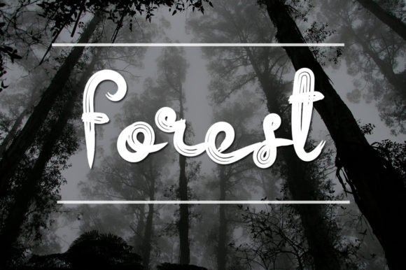 Beauty Black Font Poster 3