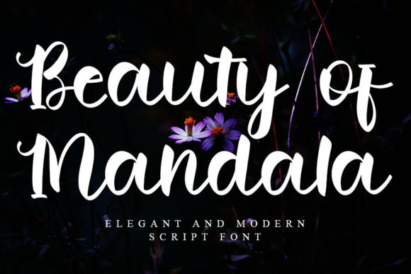 Beauty of Mandala Font Poster 1