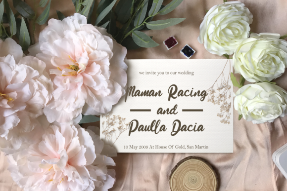 Beauty Stella Font Poster 4