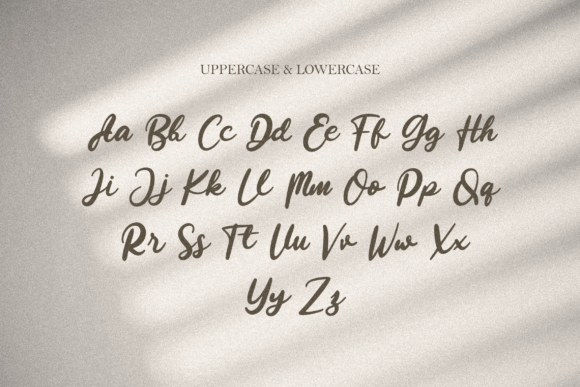 Beauty Stella Font Poster 7
