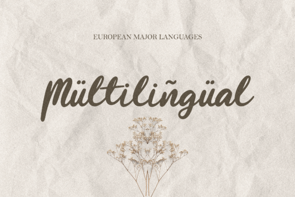 Beauty Stella Font Poster 9