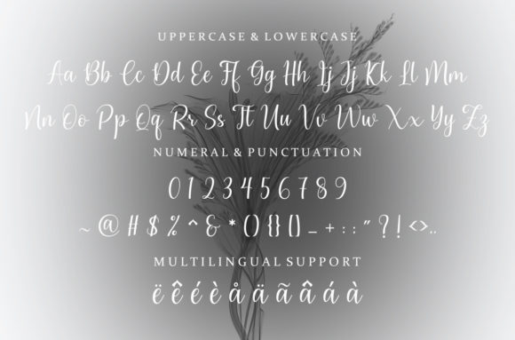 Beautyful Font Poster 9