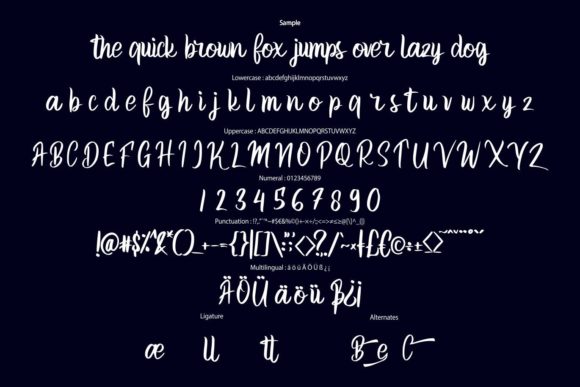 Become Choice Font Poster 6