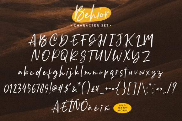 Behior Font Poster 8