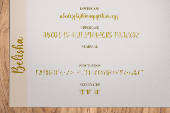Belisha Font Poster 9