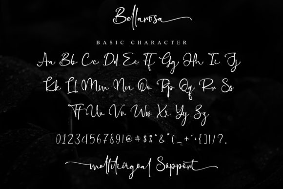 Bellarosa Font Poster 10