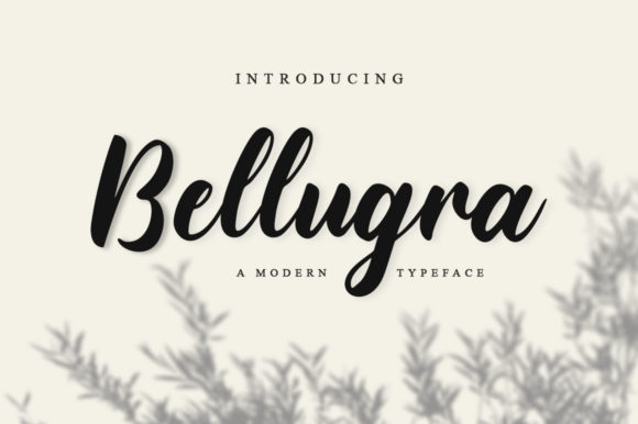 Bellugra Font Poster 1