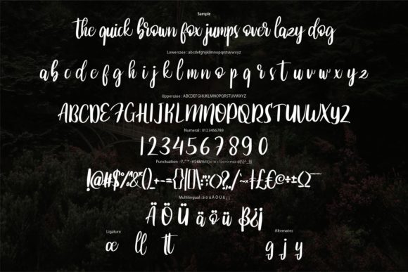 Bettida Font Poster 6