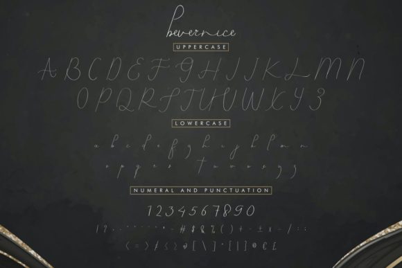 Bevernice Font Poster 4