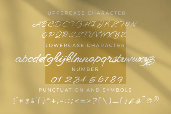 Bidadari Syurga Font Poster 5