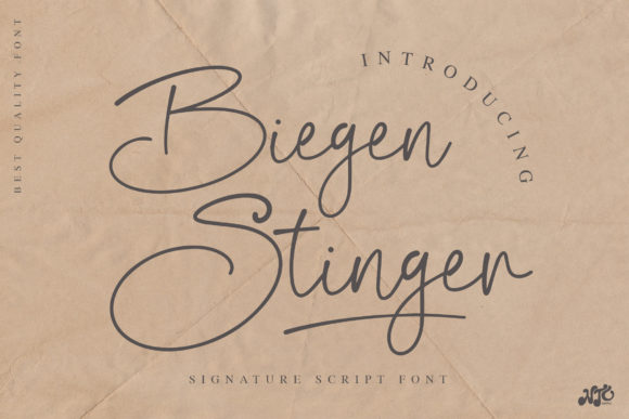 Biegen Stinger Script Font