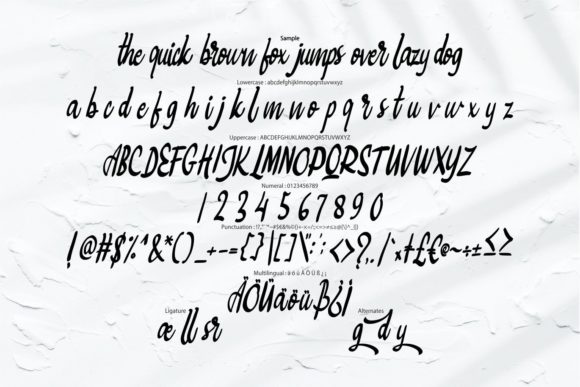 Bigtedy Script Font Poster 6