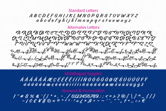 Billy Coaster Font Poster 10