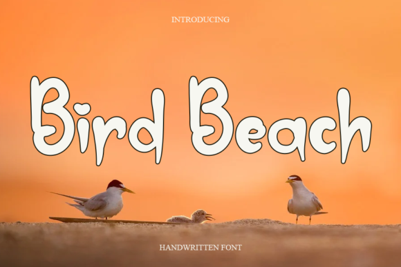 Bird Beach Font Bird Beach Font Poster 1