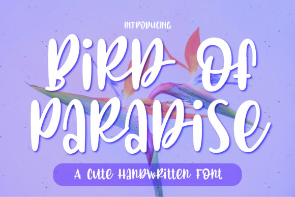 Bird of Paradise Font Poster 1