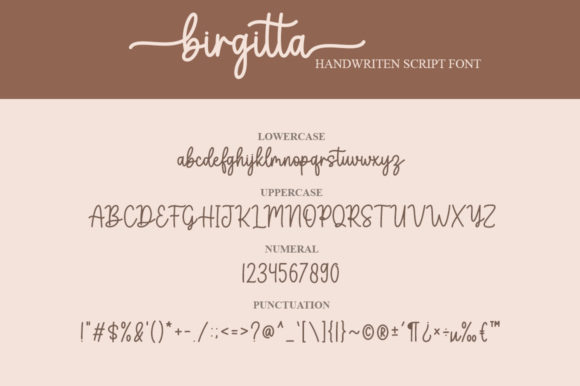 Birgitta Font Poster 8