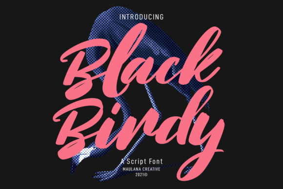 Black Birdy Font Poster 1