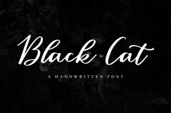 Black Cat Font