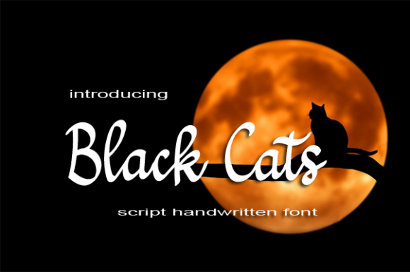 Black Cats Font Poster 1