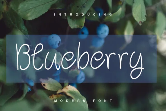 Blueberry Font Blueberry Font Poster 1