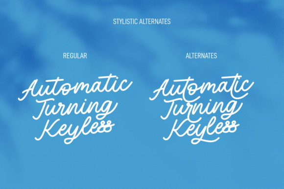 Blufcrowds Font Poster 9