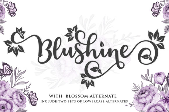 Blushine Script Font