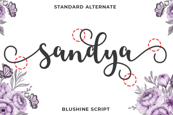 Blushine Script Font Poster 3