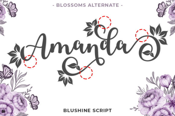 Blushine Script Font Poster 4