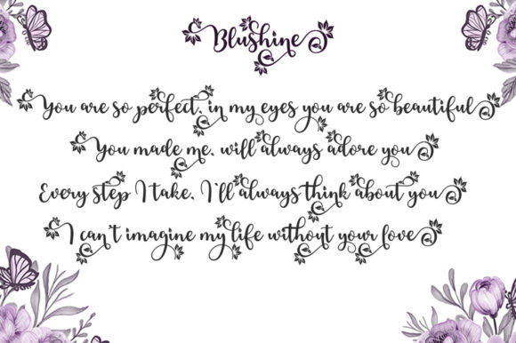 Blushine Script Font Poster 6