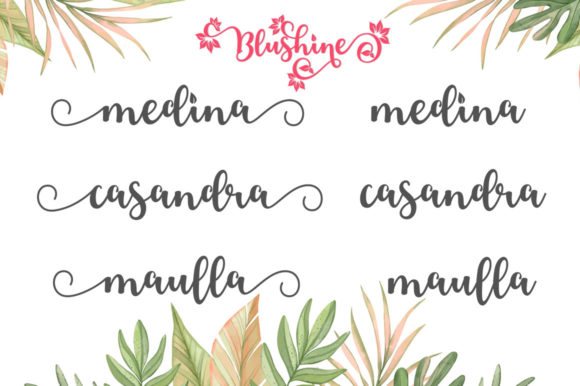 Blushine Script Font Poster 7