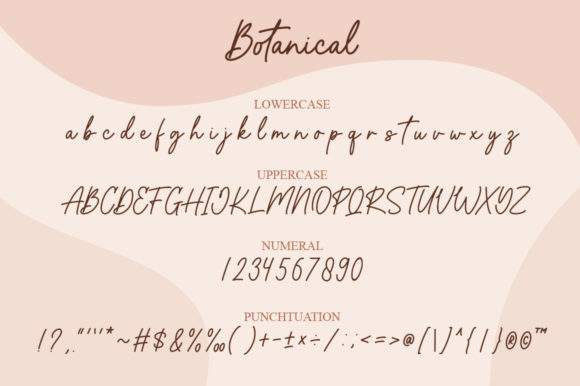 Botanical Font Poster 11