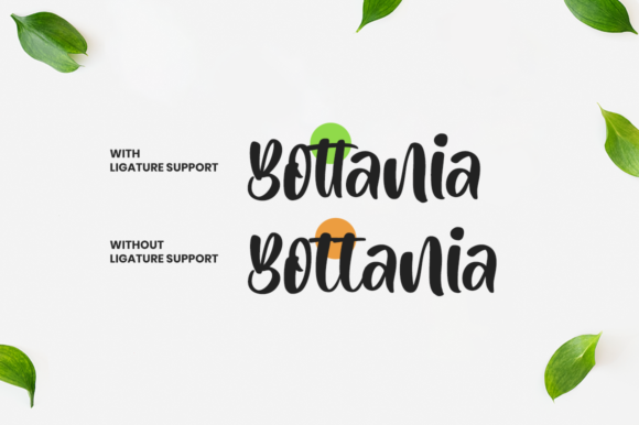 Bottania Font Poster 9